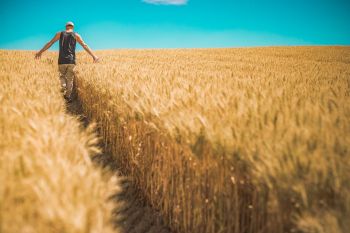 Évènement Bout de champ bio le 25 mars 2021