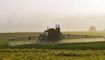 Impact des pesticides sur la santé