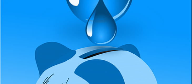 La tarification progressive de l’eau